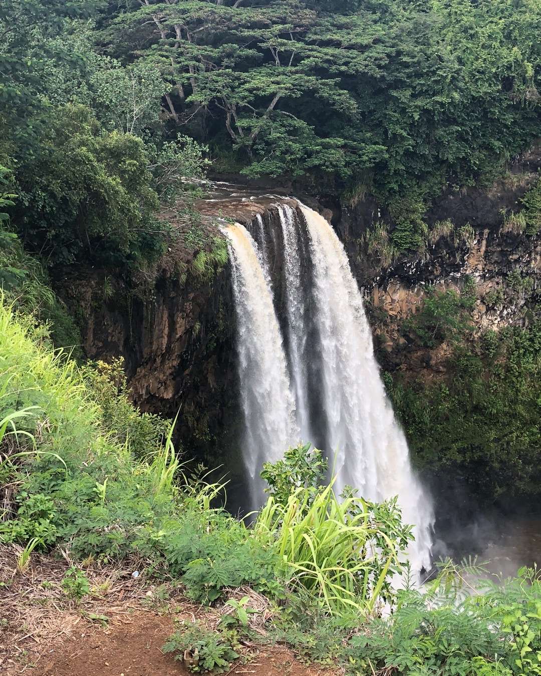 Gorgeous thundering waterfall